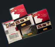 trifold, bioflod flyers